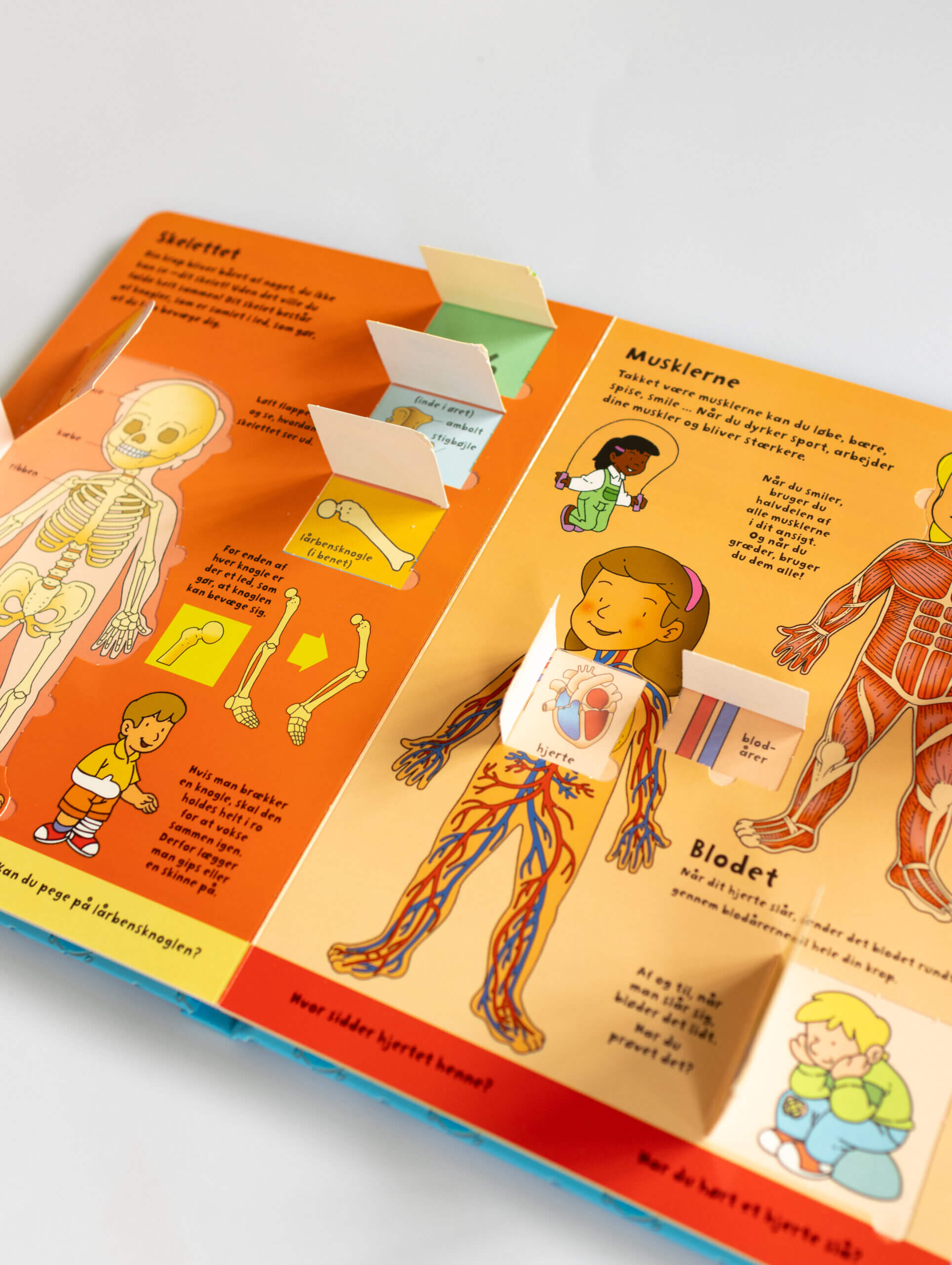 Den store flapbog: Kroppen - Image 3