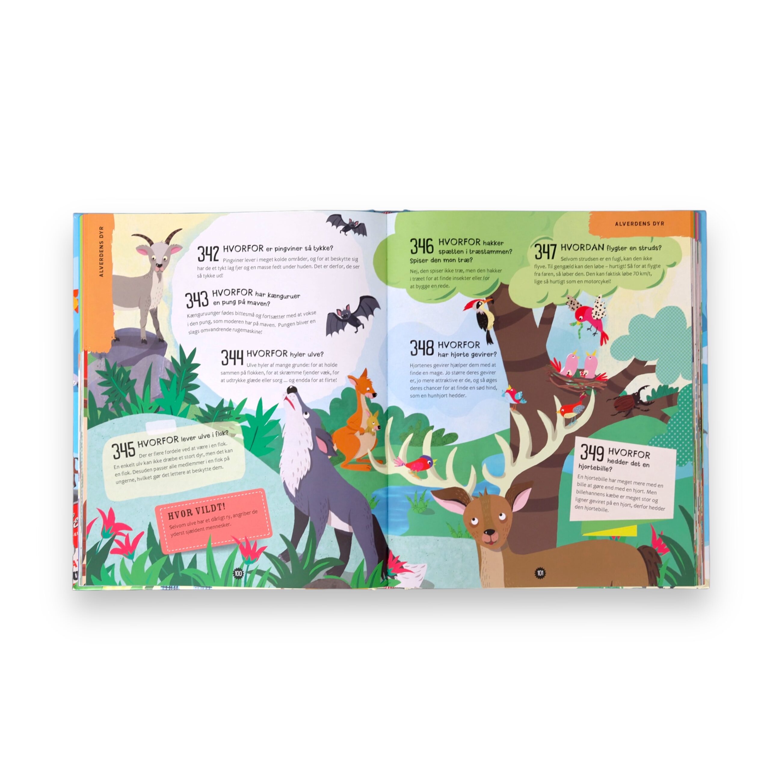 Bogen med 1000 spørgsmål - og svar! - Image 2