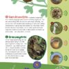 Fugle i vores natur - Image 5
